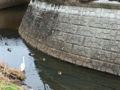 HPが完成しました。